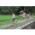 Team 05 / Raid l'Arbre Vert Amazones Bali