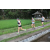 Team 13 / Raid l'Arbre Vert Amazones Bali