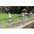 Team 14 / Raid l'Arbre Vert Amazones Bali