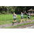 Team 25 / Raid l'Arbre Vert Amazones Bali