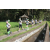 Team 19 / Raid l'Arbre Vert Amazones Bali