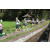 Team 16 / Raid l'Arbre Vert Amazones Bali