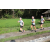 Team 32 / Raid l'Arbre Vert Amazones Bali