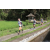 Team 28 / Raid l'Arbre Vert Amazones Bali