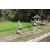 Team 42 / Raid l'Arbre Vert Amazones Bali