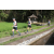 Team 35 / Raid l'Arbre Vert Amazones Bali