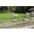 Team 37 / Raid l'Arbre Vert Amazones Bali