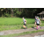 Team 40 / Raid l'Arbre Vert Amazones Bali