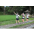 Team 51 / Raid l'Arbre Vert Amazones Bali