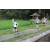 Team 50 / Raid l'Arbre Vert Amazones Bali