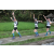 Team 52 / Raid l'Arbre Vert Amazones Bali