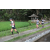 Team 65 / Raid l'Arbre Vert Amazones Bali