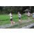 Team 58 / Raid l'Arbre Vert Amazones Bali