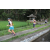 Team 66 / Raid l'Arbre Vert Amazones Bali