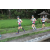 Team 59 / Raid l'Arbre Vert Amazones Bali