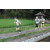 Team 63 / Raid l'Arbre Vert Amazones Bali