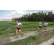 Team 71 / Raid l'Arbre Vert Amazones Bali