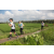 Team 64 / Raid l'Arbre Vert Amazones Bali