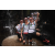 Team 38 / Raid l'Arbre Vert Amazones Bali