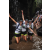Team 39 / Raid l'Arbre Vert Amazones Bali