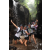 Team 42 / Raid l'Arbre Vert Amazones Bali