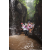 Team 43 / Raid l'Arbre Vert Amazones Bali