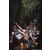 Team 52 / Raid l'Arbre Vert Amazones Bali