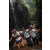 Team 53 / Raid l'Arbre Vert Amazones Bali