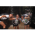 Team 54 / Raid l'Arbre Vert Amazones Bali