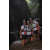 Team 59 / Raid l'Arbre Vert Amazones Bali