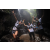 Team 65 / Raid l'Arbre Vert Amazones Bali