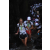 Team 15 / Raid l'Arbre Vert Amazones Bali