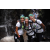 Team 06 / Raid l'Arbre Vert Amazones Bali