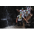 Team 16 / Raid l'Arbre Vert Amazones Bali
