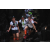 Team 17 / Raid l'Arbre Vert Amazones Bali