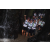 Team 20 / Raid l'Arbre Vert Amazones Bali