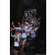 Team 22 / Raid l'Arbre Vert Amazones Bali