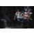 Team 23 / Raid l'Arbre Vert Amazones Bali