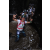 Team 23 / Raid l'Arbre Vert Amazones Bali