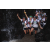 Team 24 / Raid l'Arbre Vert Amazones Bali