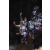 Team 25 / Raid l'Arbre Vert Amazones Bali