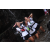 Team 28 / Raid l'Arbre Vert Amazones Bali