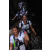 Team 28 / Raid l'Arbre Vert Amazones Bali