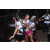 Team 29 / Raid l'Arbre Vert Amazones Bali