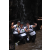 Team 30 / Raid l'Arbre Vert Amazones Bali