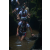 Team 09 / Raid l'Arbre Vert Amazones Bali