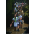 Team 14 / Raid l'Arbre Vert Amazones Bali