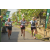 Team 01 / Raid l'Arbre Vert Amazones Bali