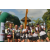 Team 01 / Raid l'Arbre Vert Amazones Bali