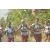 Team 05 / Raid l'Arbre Vert Amazones Bali